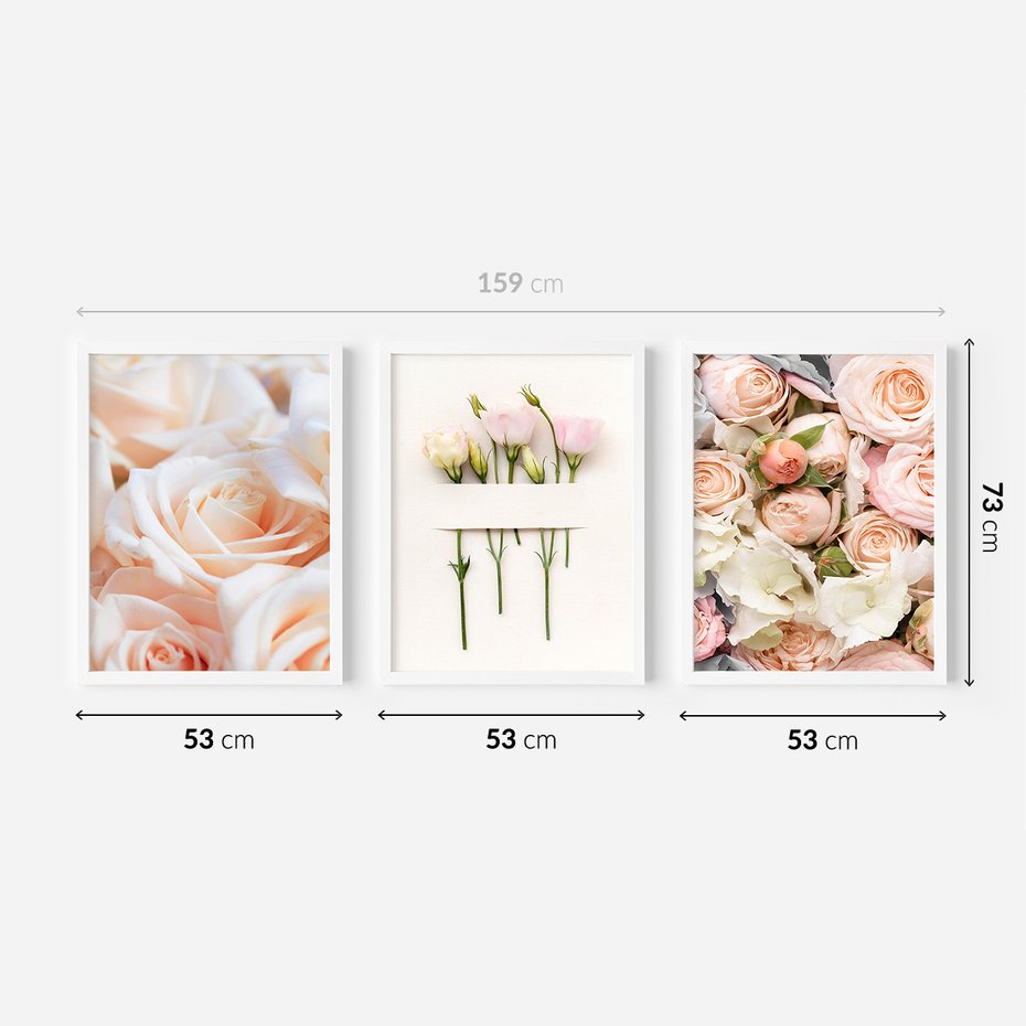 Zestaw obrazy w ramie 50x70 galeria - Róże, kwiaty, do, sypialni - rama biała