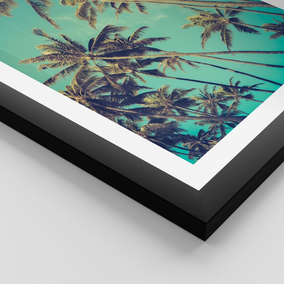 Plakat w ramie 50x70 - Tropikalne palmy w krainie słonecznych wakacji - palmy, tropiki - rama czarna