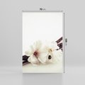 Obraz na płótnie 70x100 - Czuła delikatność wanilii - wanilia, kwiaty
