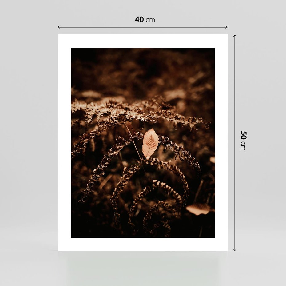 Plakat bez ramy 40x50 - Gałęzie i Liść w Brązowej Tonacji - suche gałęzie, liść