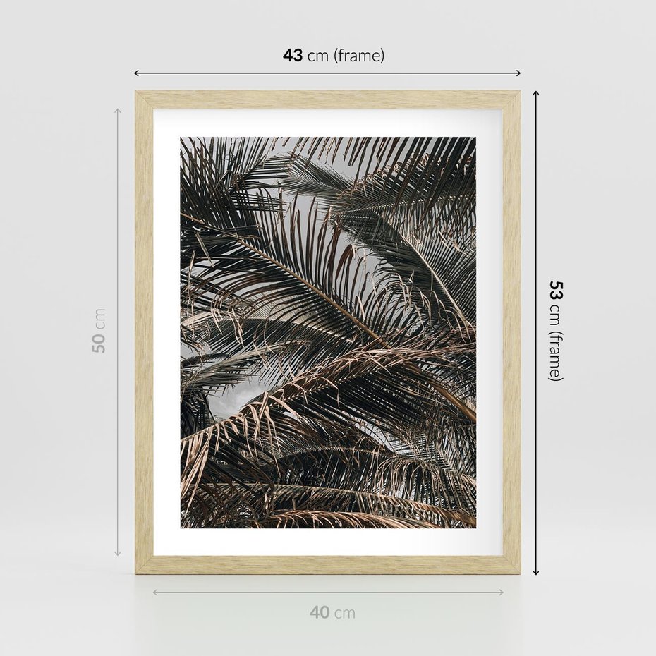 Plakat w ramie 40x50 - Liściaste Palmy - palmy, drzewa palmowe - rama drewno