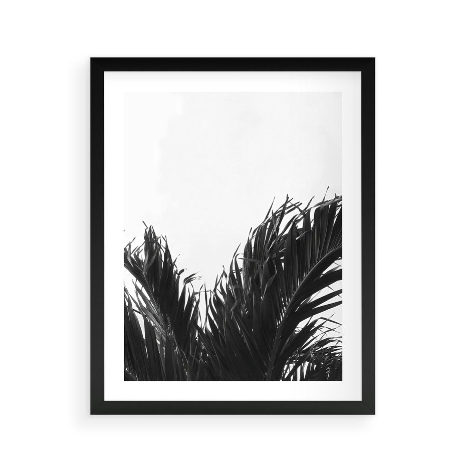 Plakat w ramie 40x50 - Tropikalna Uroda w Czerni i Bieli - fotografia czarno biała, liście palmy - rama czarna
