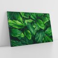 Obraz na płótnie 120x80 - Palma Liście Kwiat - palma, liście