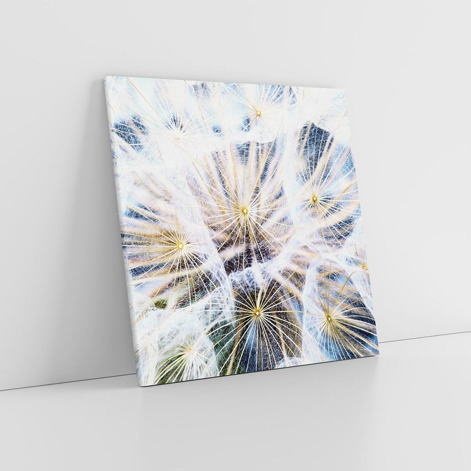 Obraz na płótnie 40x40 - marzenia w locie - dmuchawce, dmuchawiec