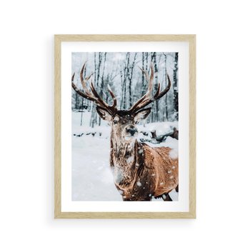 Plakat w ramie 40x50 - Jeleń na Zdjęciu pod Śniegiem - jeleń, zima - rama drewno