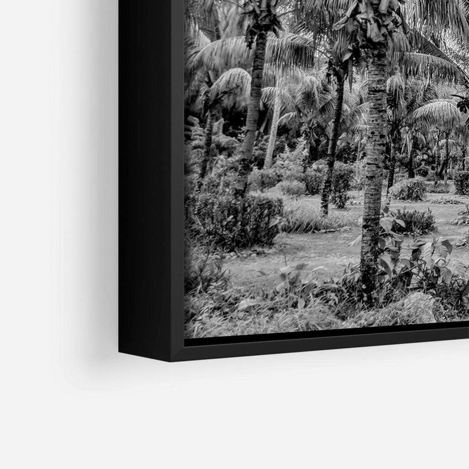 Obraz w ramie 100x70 - Mroczna Ścieżka Tropików - czarno biała fotografia, ścieżka pośród palm - rama czarna