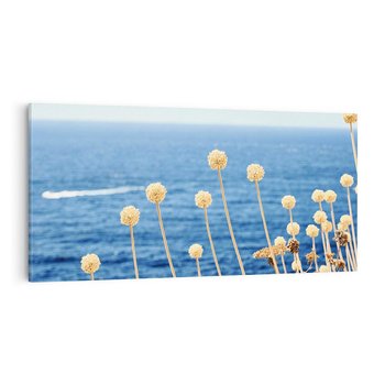 Obraz na płótnie 140x70 - Kontrasty Natury - fotografia, pierwszy plan sucha roślinność