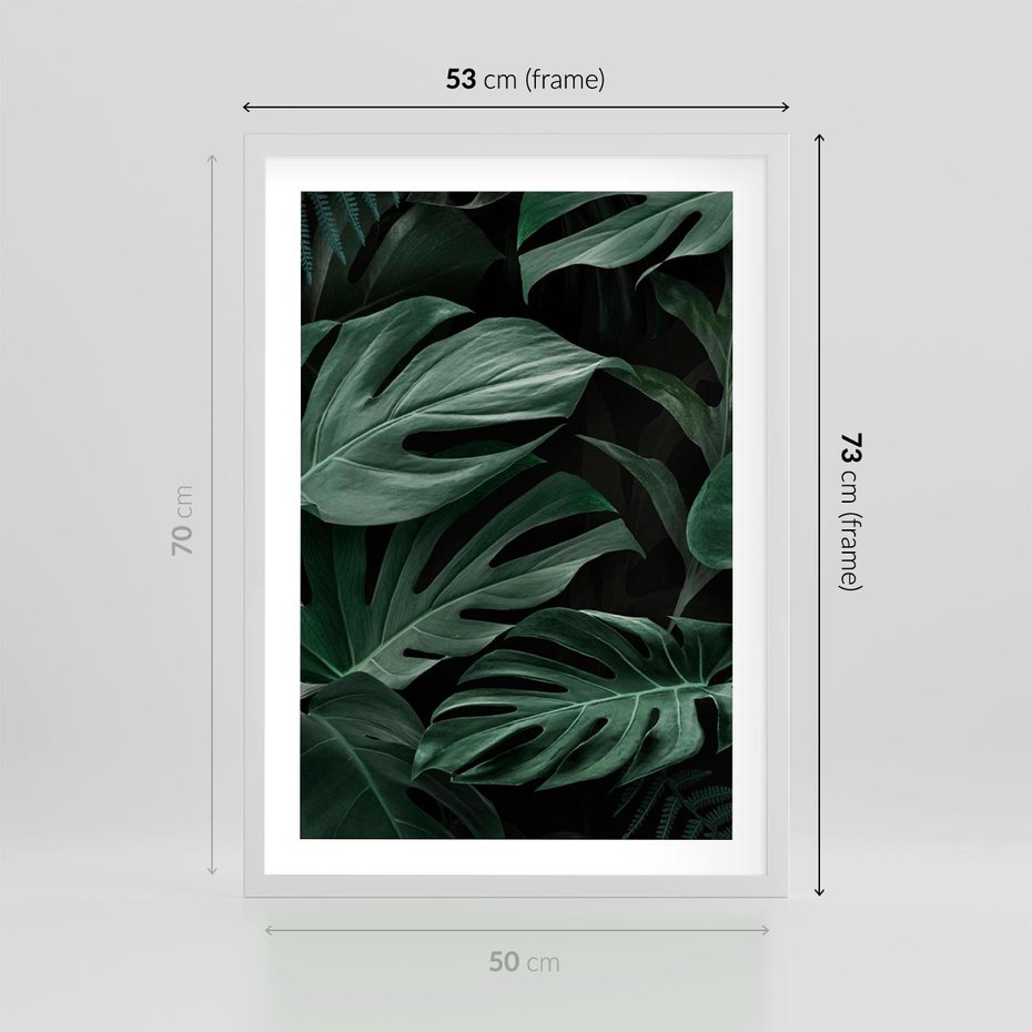 Plakat w ramie 50x70 - Zielone Liście Monstery w Dżungli - zielone liście monstery, dżungla - rama biała