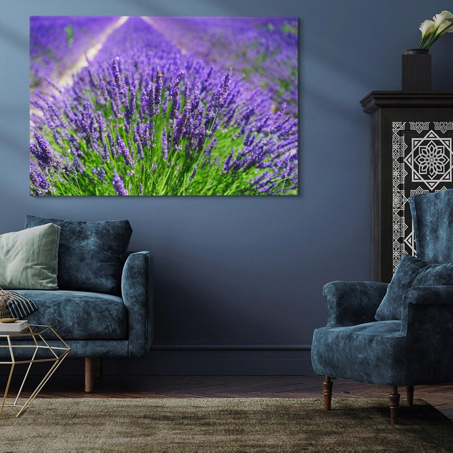 Obraz na płótnie 120x80 - Lawendowe pola piękno natury - lawenda, kwiaty