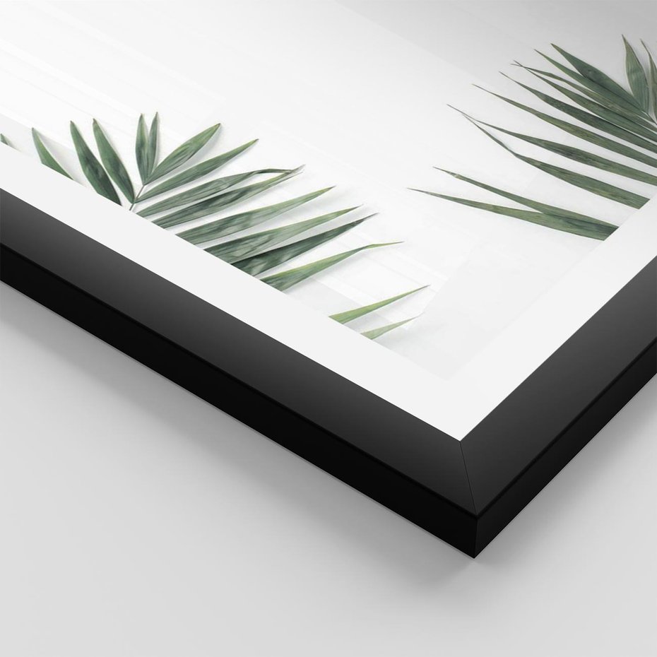 Plakat w ramie 50x70 - Liście Palmy na Czystym Tle - liście palmy, białe tło - rama czarna