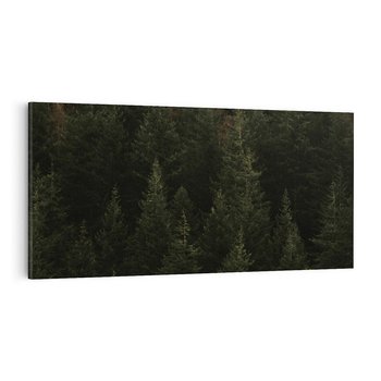 Obraz na płótnie 120x60 - Ciemny las iglasty - las, iglasty