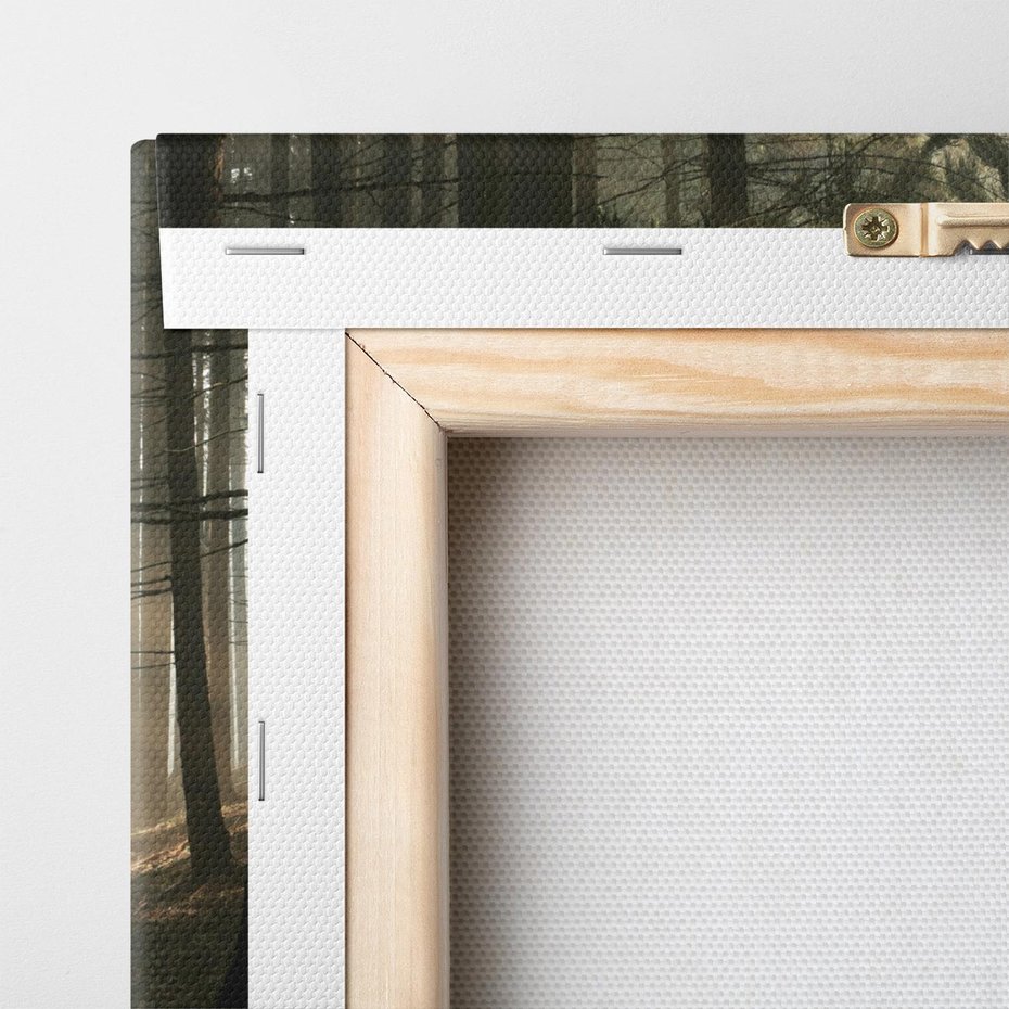 Obraz na płótnie 60x60 - Urok lasu: drzewa w pełnej okazałości - las, drzewa