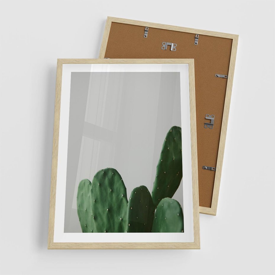 Plakat w ramie 50x70 - Majestatyczne Wysokości - kaktusy, liście - rama drewno