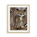 Plakat w ramie 40x50 - Tajemniczy Stróż - sowa, las - rama drewno