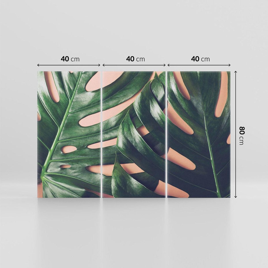 Obraz na płótnie 120x80 - Monstera Liście - monstera, liście