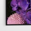 Obraz w ramie 70x100 - Fioletowa hortensja - kwiaty, hortensja - rama czarna