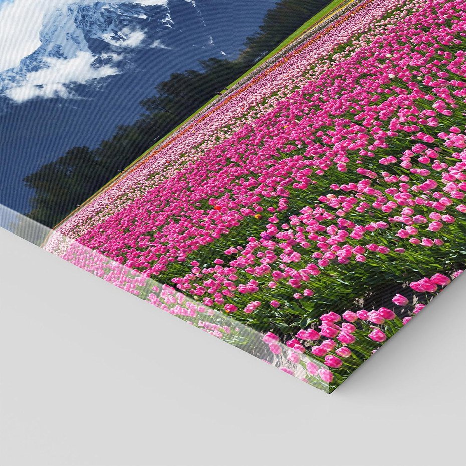 Obraz na płótnie 60x60 - Tulipany w malowniczym krajobrazie" - tulipany, krajobraz