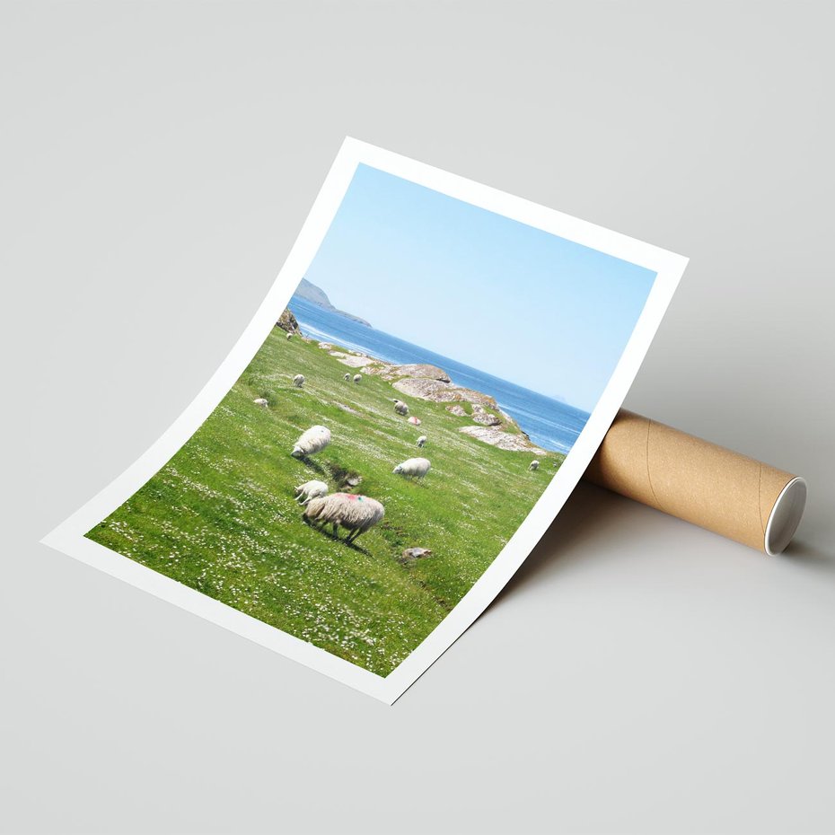 Plakat bez ramy 21x30 - Górskie Owce - góry, owce