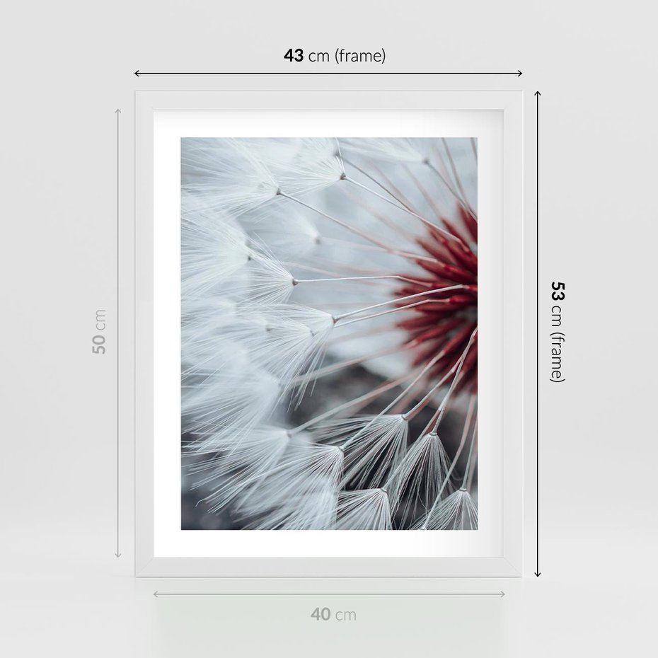 Plakat w ramie 40x50 - Makro Magii Natury - dmuchawiec, zbliżenie makro - rama biała