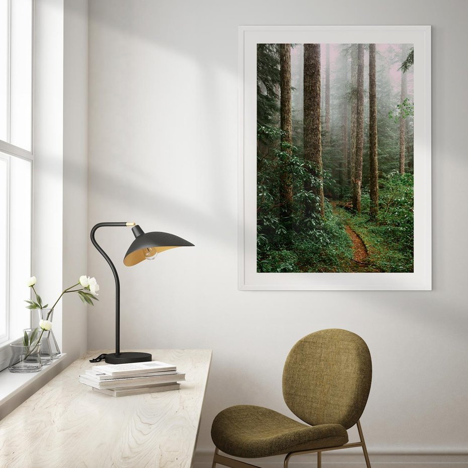 Plakat w ramie 30x40 - Mgliste Marzenia - artystyczna fotografia, las - rama biała