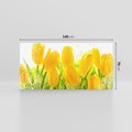 Obraz na płótnie 140x70 - Tulipany - szczyt kwiatowego piękna - tulipany, kwiaty