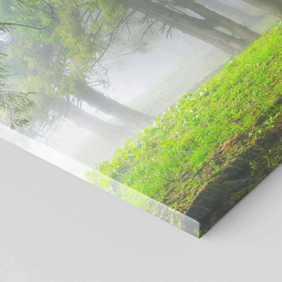 Obraz na płótnie 70x50 - Drzewa w harmonii - las, drzewa