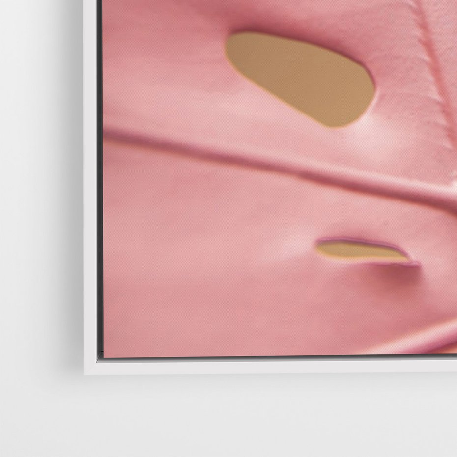 Obraz w ramie 50x70 - Różowa monstera w pełnym rozkwicie - różowa, monstera - rama biała