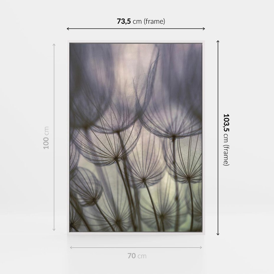 Obraz w ramie 70x100 - Makro dmuchawiec - piękno drobnych detali - dmuchawce, makro - rama biała