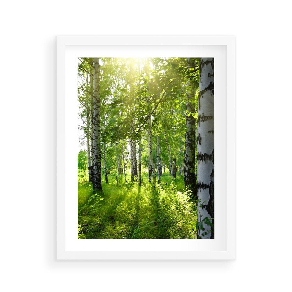 Plakat w ramie 40x50 - Lasowa Księżycowa Noc - las, drzewa - rama biała