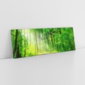 Obraz na płótnie 120x40 - Urok lasu na drodze - las, drzewa