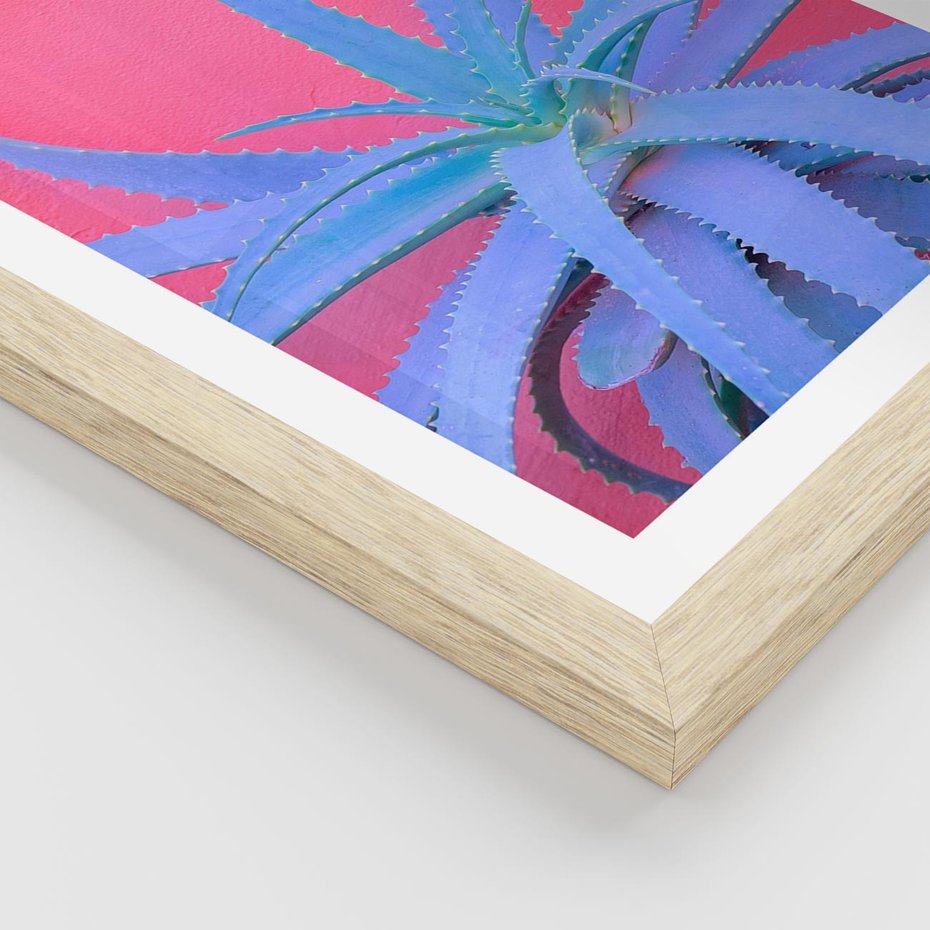 Plakat w ramie 30x40 - Piękno Pustyni - kaktusy, liście - rama drewno