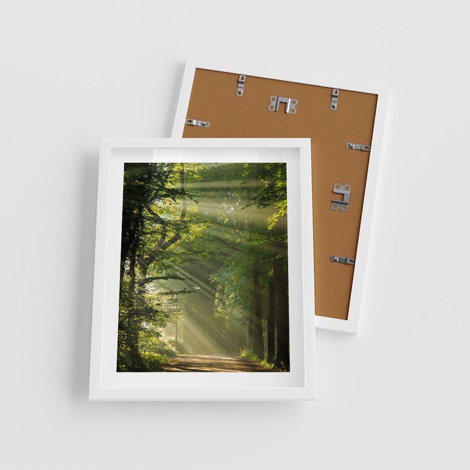 Plakat w ramie 40x50 - harmonia natury - las, drzewa - rama biała