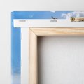 Obraz na płótnie 80x80 - Spotkanie z naturą - morze, delfiny