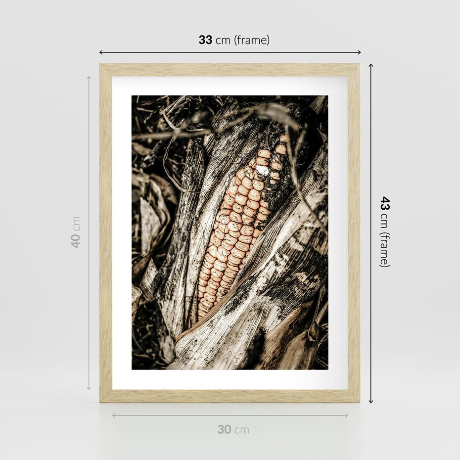 Plakat w ramie 30x40 - Kukurydza w Jesiennej Scenie - kukurydza, jesień - rama drewno