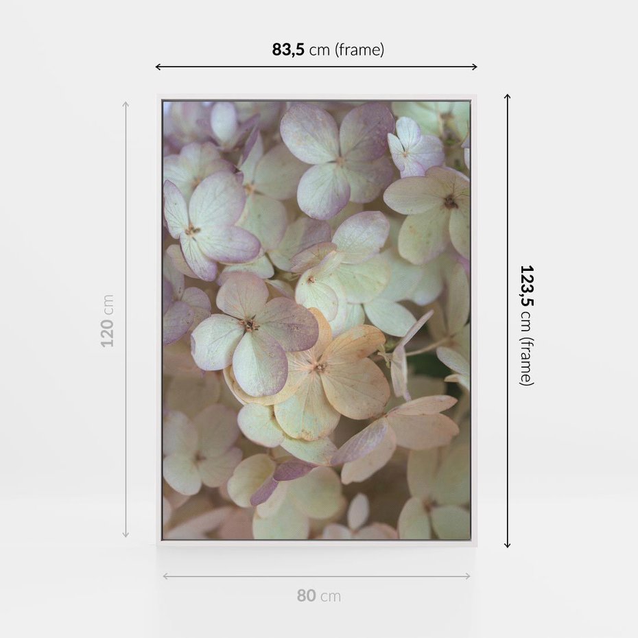 Obraz w ramie 80x120 - Kwiatowy taniec - kwiaty, hortensje - rama biała