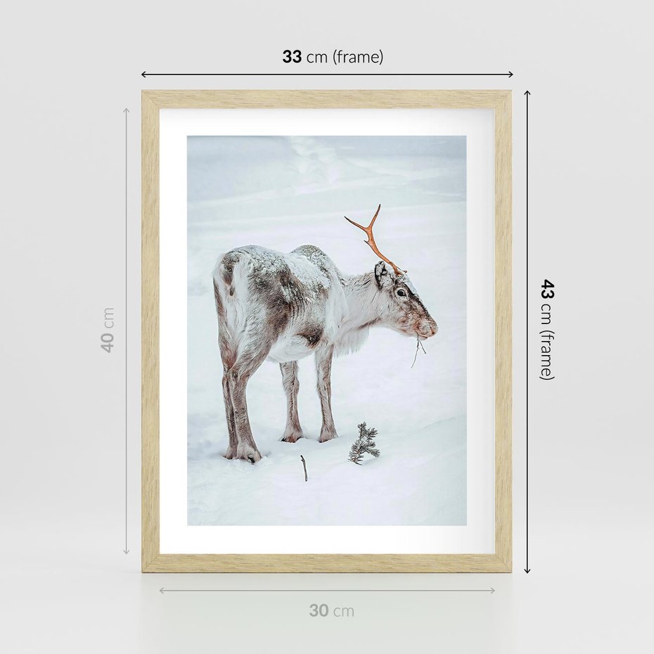 Plakat w ramie 30x40 - Magia Świąt - renifer na śniegu, śnieg - rama drewno