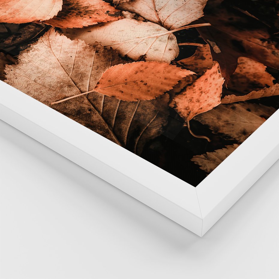 Zestaw obrazy w ramie 30x40 galeria - Liście, las, ścieżka - rama biała