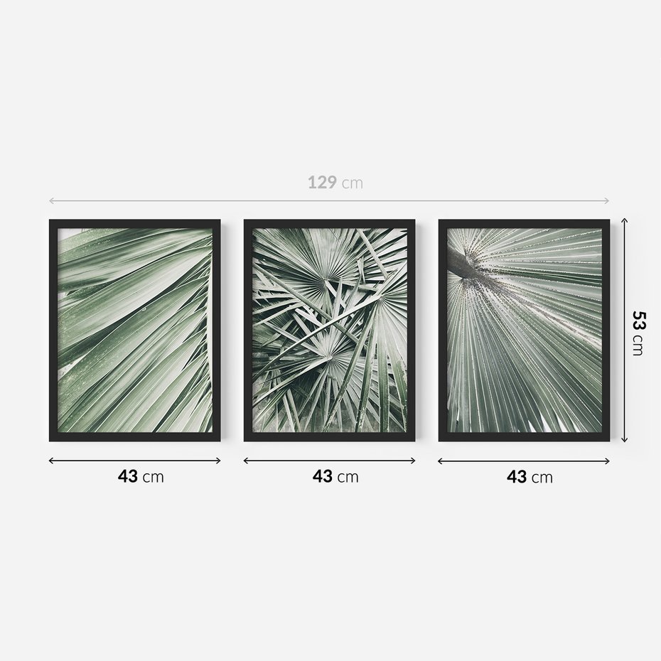 Zestaw obrazy w ramie 40x50 galeria - Palmy, liście, zielone - rama czarna