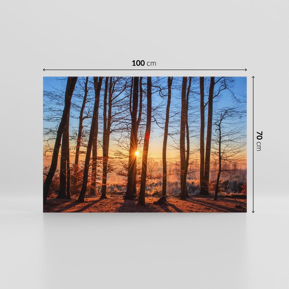 Obraz na płótnie 100x70 - Zachód słońca w jesiennym lesie - zachód słońca,