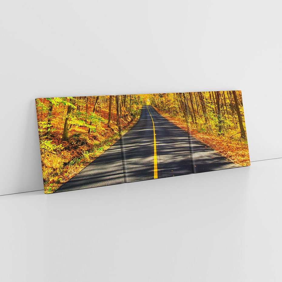 Obraz na płótnie 150x50 - Droga przez jesienny las - droga, las