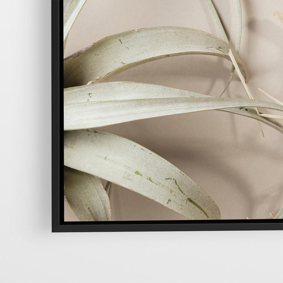 Obraz w ramie 50x50 - Boho urok suchych liści - suche, liście - rama czarna