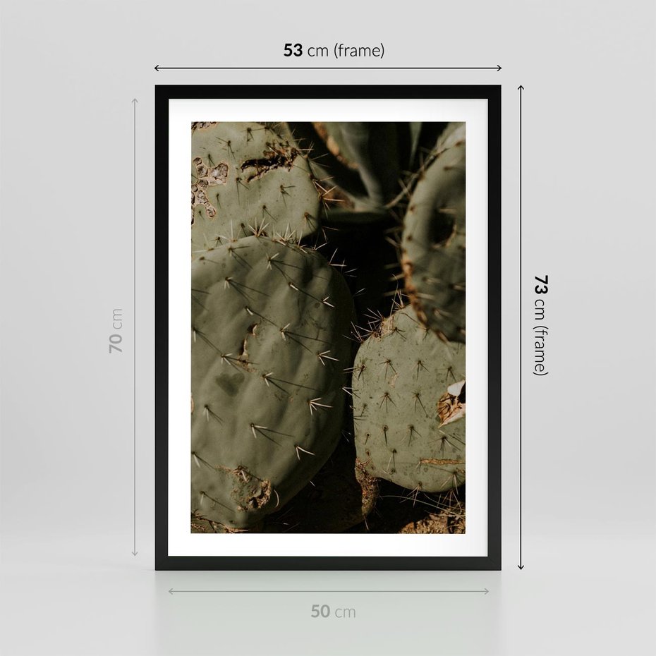 Plakat w ramie 50x70 - Urok Egzotyki - kaktusy, boho - rama czarna