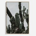 Obraz w ramie 70x100 - Boho oaza wśród kaktusów - kaktusy, pustynia - rama drewno