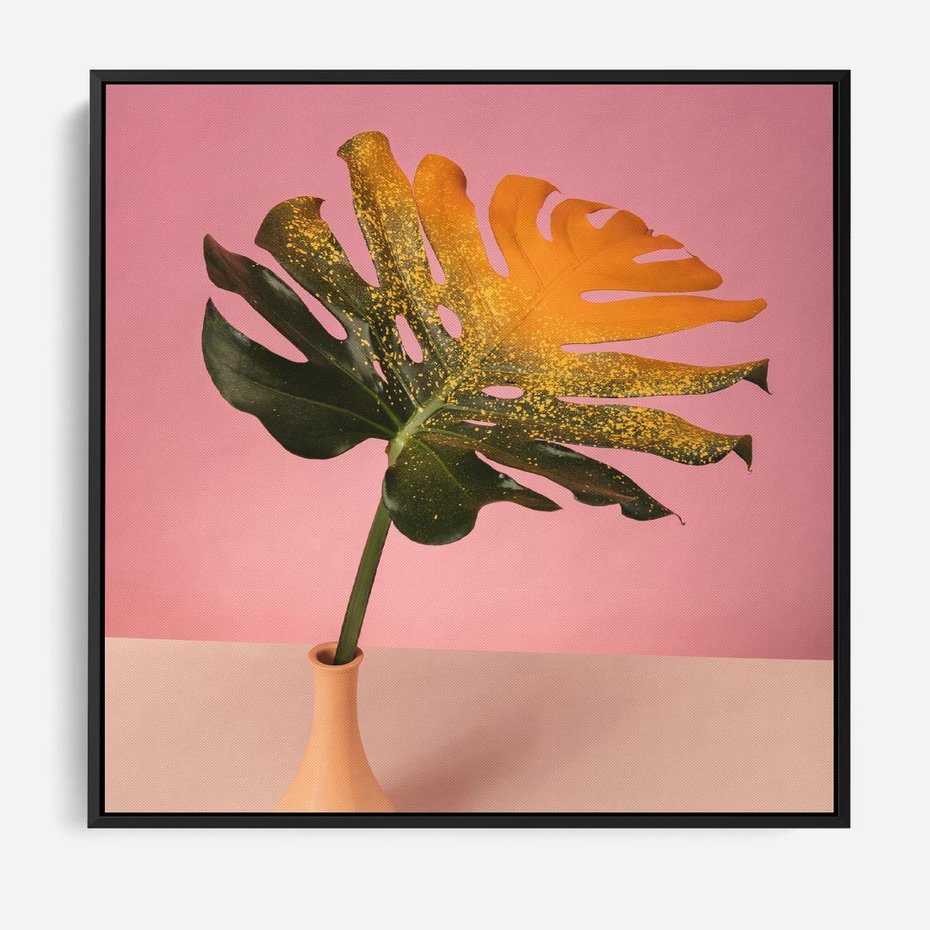 Obraz w ramie 50x50 - Egzotyczna monstera - monstera, liść - rama czarna