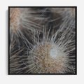 Obraz w ramie 50x50 - Ulotna Piękność Natury - makro, dmuchawce - rama czarna