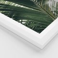 Plakat w ramie 30x40 - Tropikalne Uroki: Palmy i Zielone Liście - palmy, zielone liście - rama biała