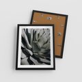 Plakat w ramie 40x50 - Egzotyczny Raj - sukulenty, kaktusy - rama czarna