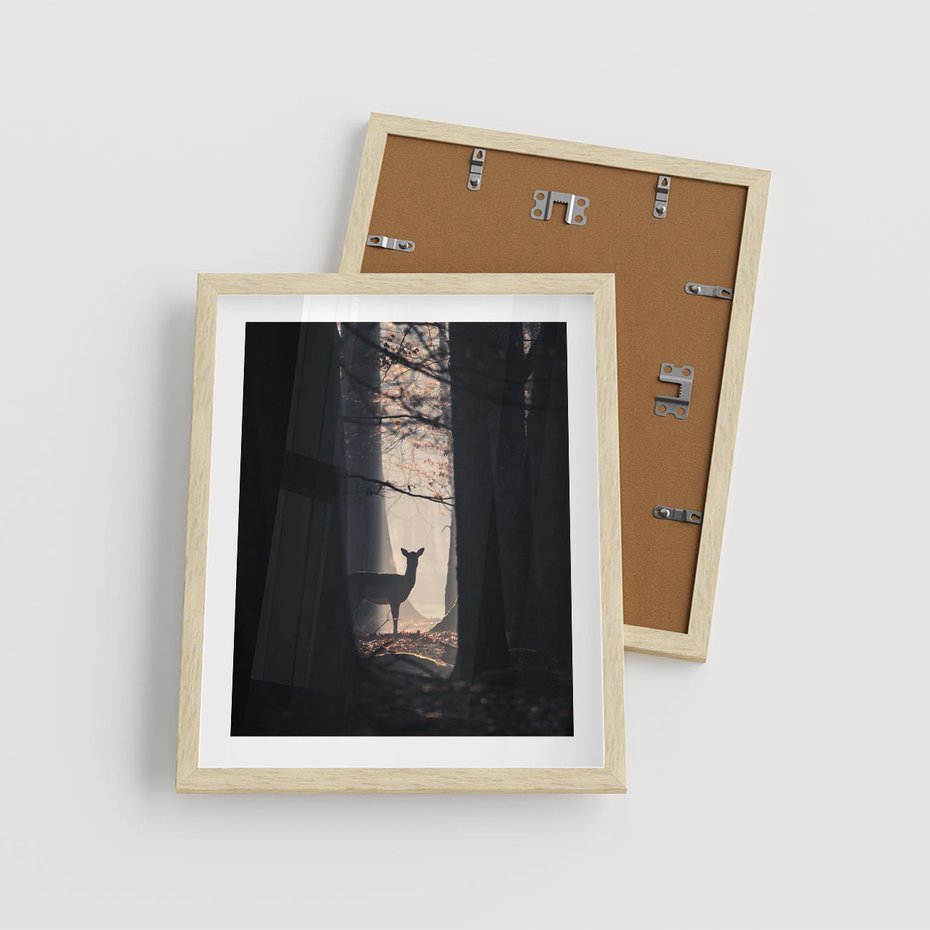 Plakat w ramie 40x50 - Sarnie Skoki - zdjęcie, klimatyczny las - rama drewno