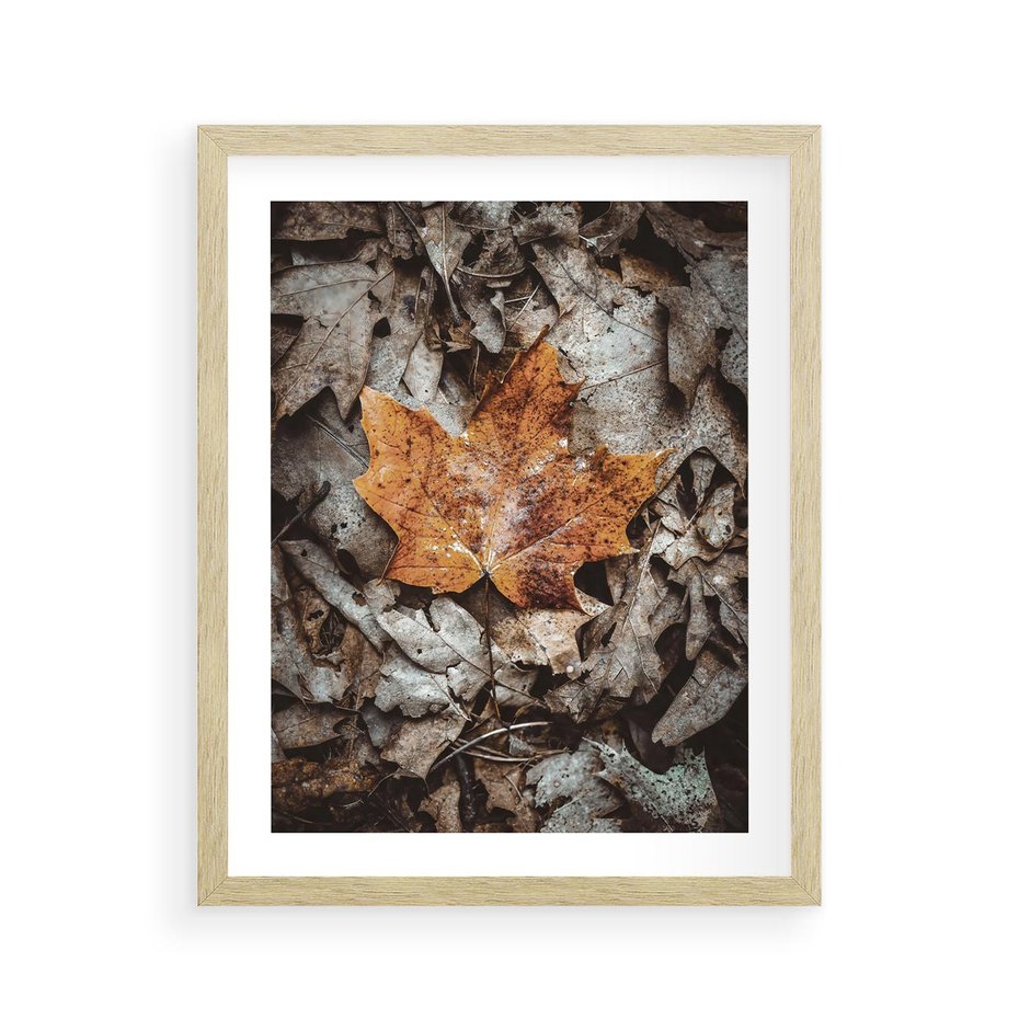 Plakat w ramie 40x50 - Jesienne Czarowanie - suchy liść, żółty - rama drewno