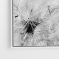 Obraz w ramie 120x80 - Zdmuchnięty Puch - dmuchawce, delikatne - rama biała